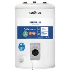 Termotanque Electrico Señorial 65 Lts